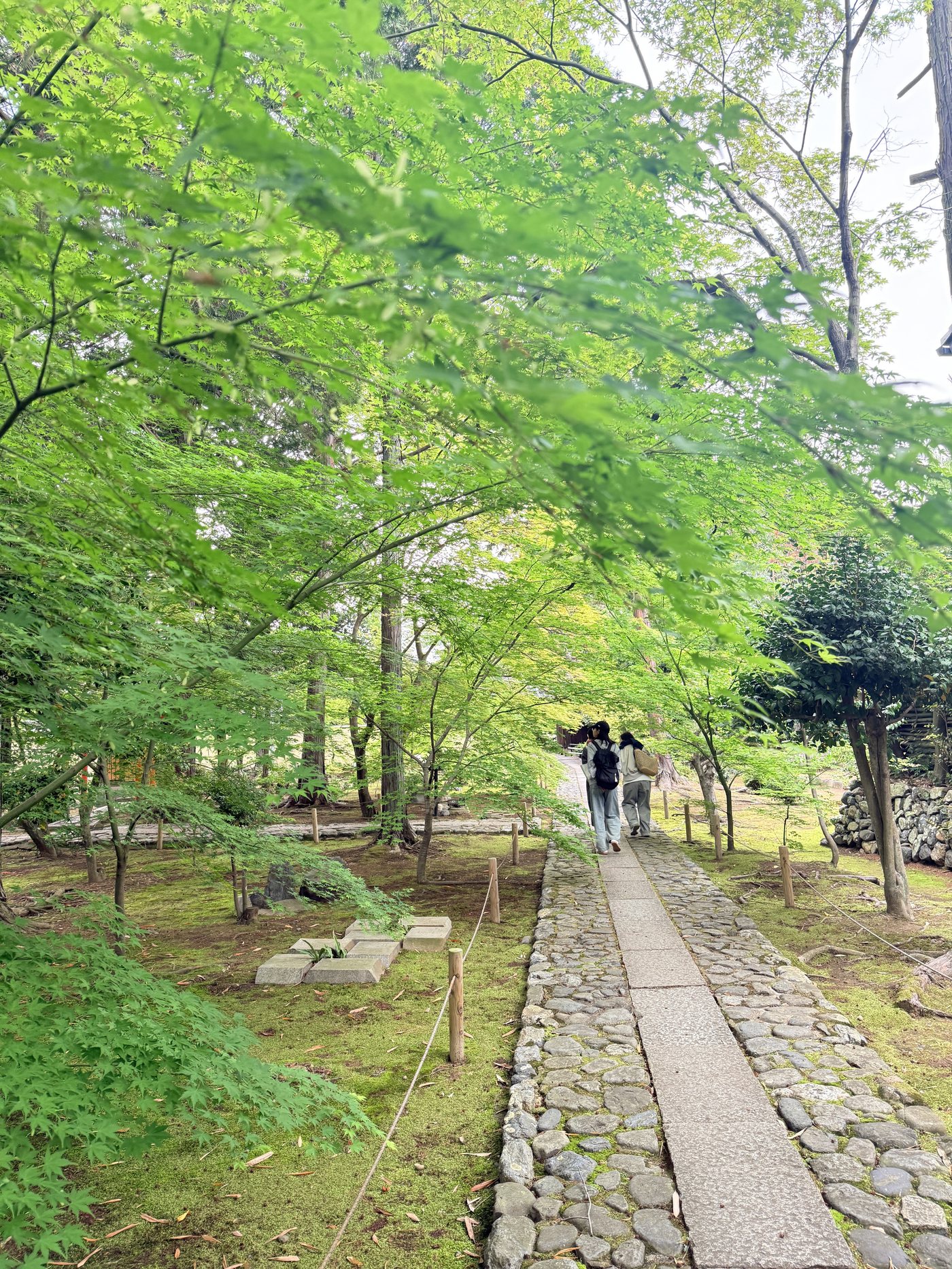 京都の自然の中をゆっくり歩くリトリートの時間